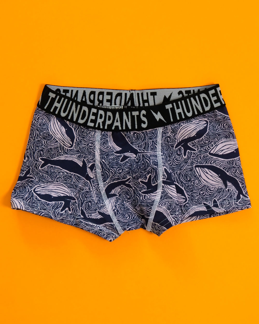 Flat lay of Thunderpants Kids Boxer Brief style underwear in Whale print - blue on purple.
