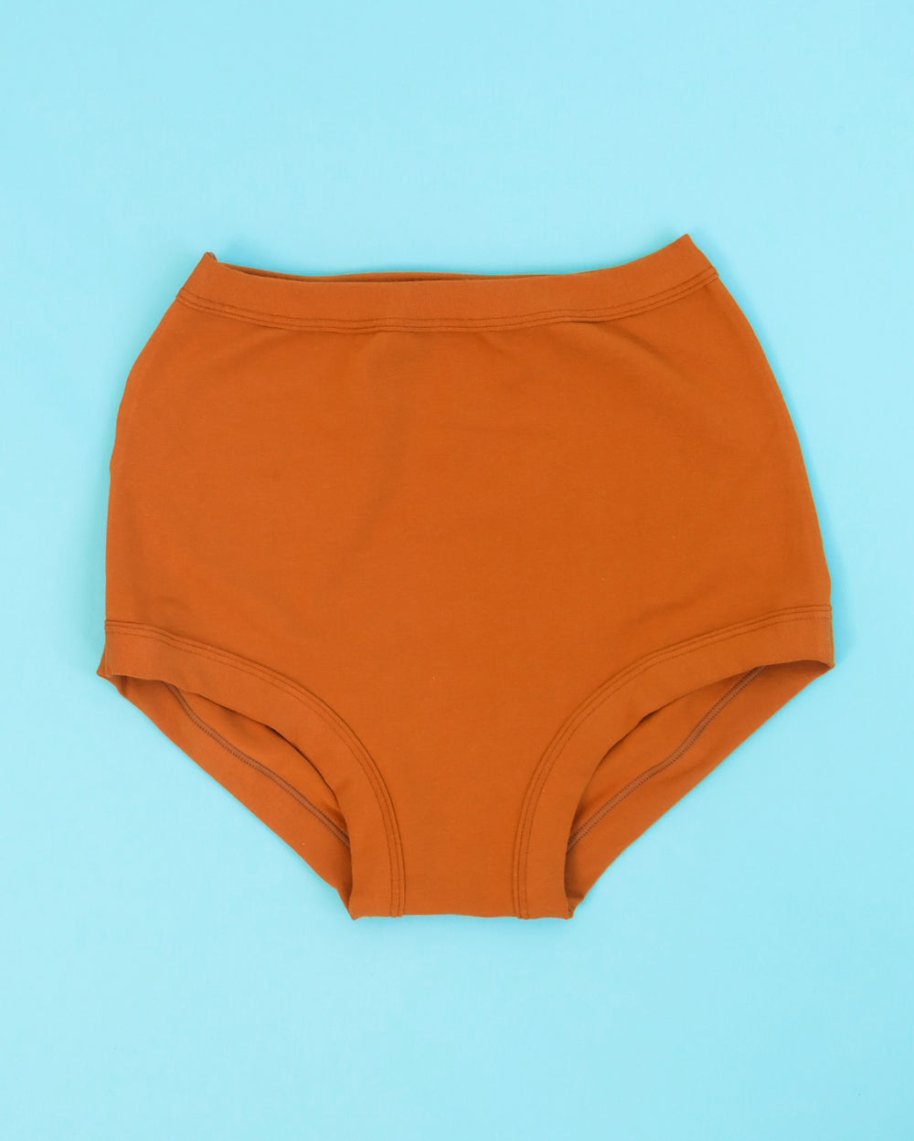 Flay lay of Thunderpants Sky RIse style underwear in Lucky Penny - a rust color.
